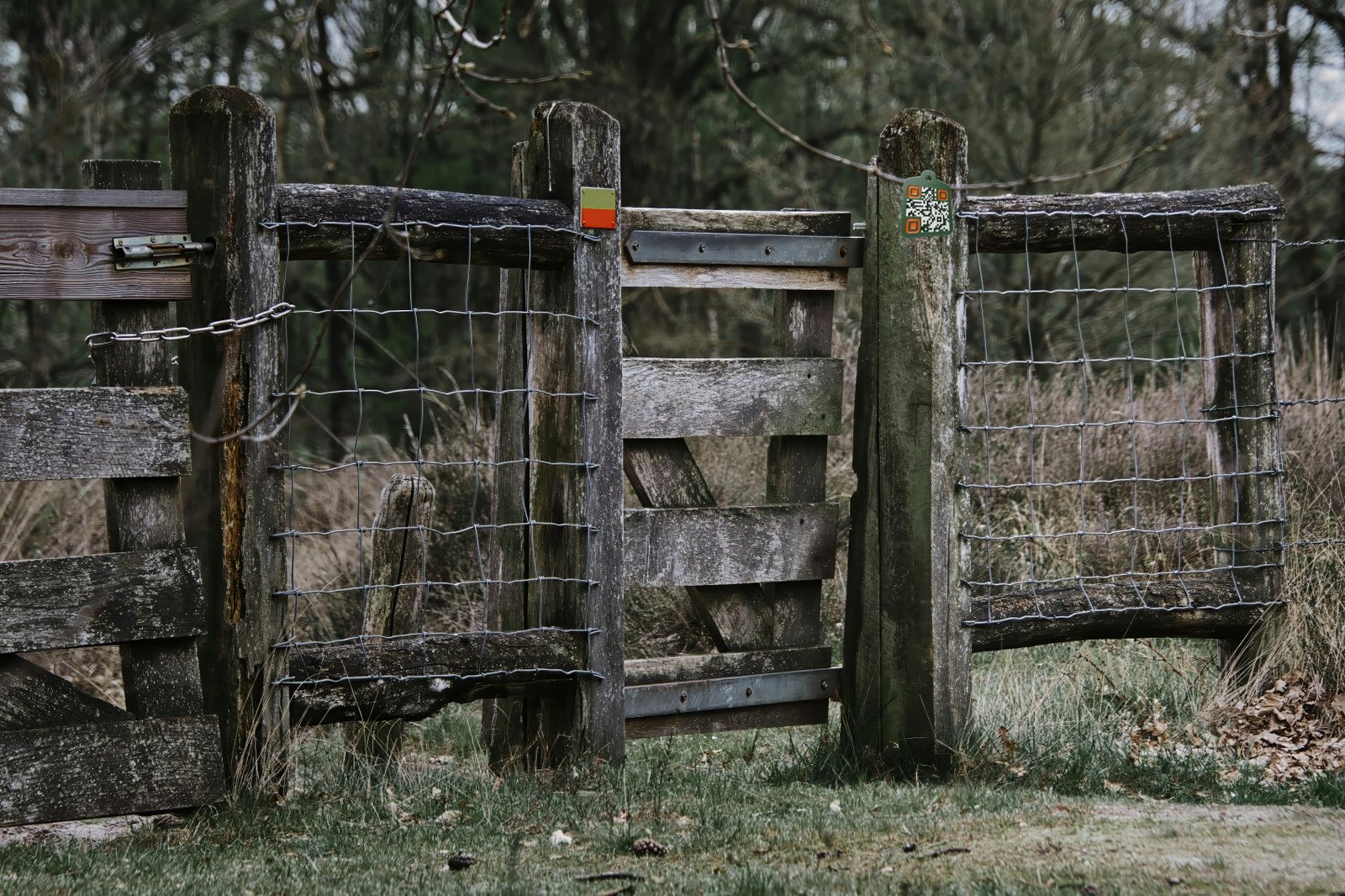 Wooden farm gate with an AgTag attached to the post for walkers to scan